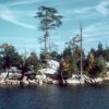 Laurel River Lake in the Daniel Boone National Forest, Kentucky